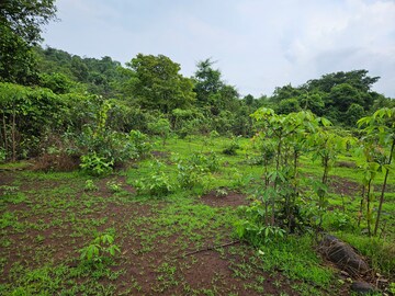  Land For Sale in Mangaon