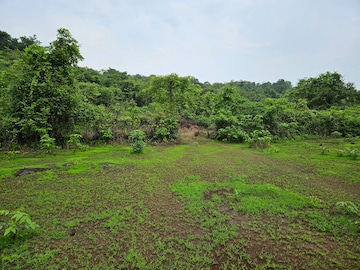Plot Area in  Land at Mangaon – for Sale
