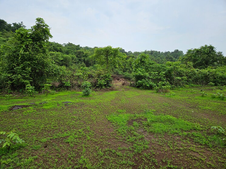 undefined, mangaon Commercial Land 20 Acre In Mangaon Raigad 8784656
