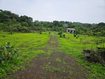 Plot Area in  Land at Mangaon – for Sale