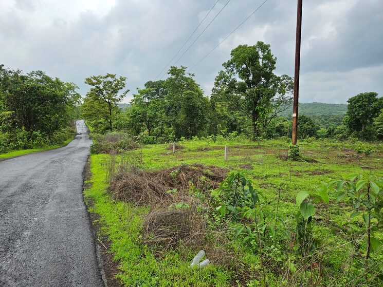 Garden, mangaon Commercial Land 20 Acre In Mangaon Raigad 8784656
