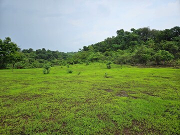 Plot Area in  Land at Mangaon – for Sale