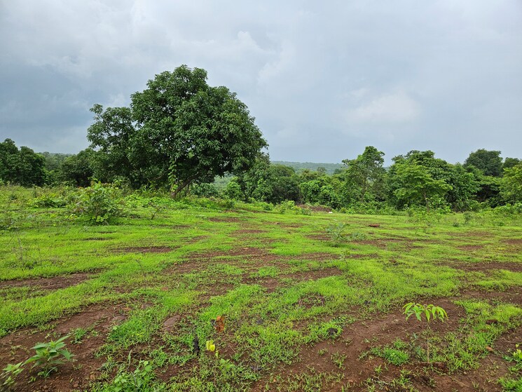 Garden, mangaon Commercial Land 20 Acre In Mangaon Raigad 8784656