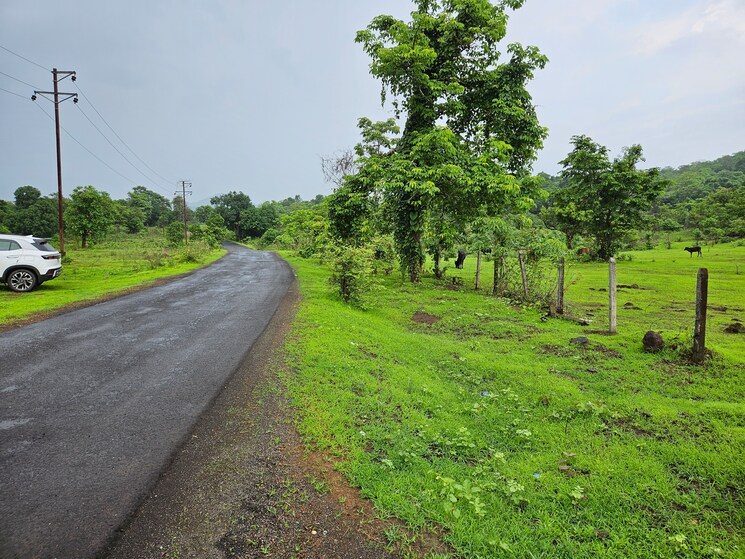 Garden, mangaon Commercial Land 20 Acre In Mangaon Raigad 8784656