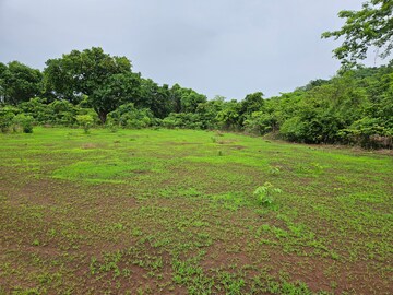  Land – Garden View at Mangaon - for Sale