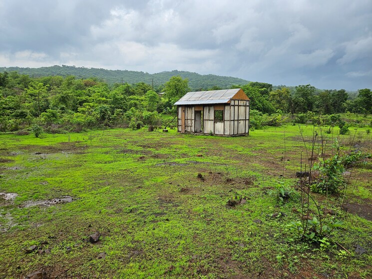 Exterior View, mangaon Commercial Land 20 Acre In Mangaon Raigad 8784656