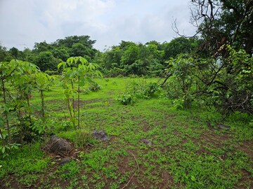Plot Area in  Land at Mangaon – for Sale