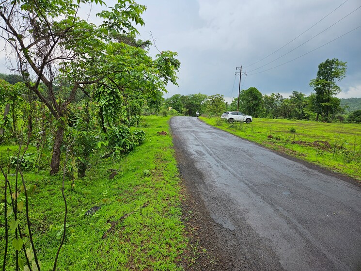 Garden, mangaon Commercial Land 20 Acre In Mangaon Raigad 8784656