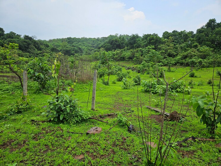 undefined, mangaon Commercial Land 20 Acre In Mangaon Raigad 8784656