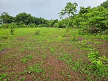 Plot Area in  Land at Mangaon – for Sale