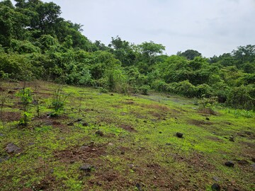  Land – Garden View at Mangaon - for Sale