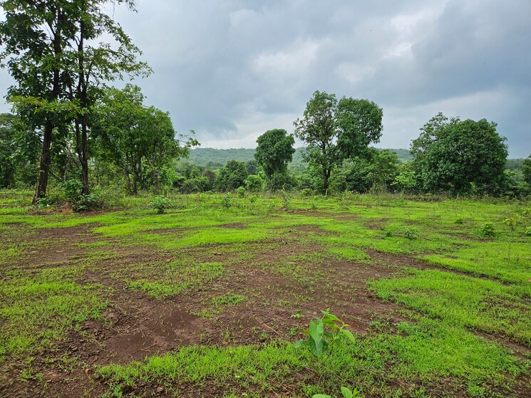 Garden, mangaon Commercial Land 20 Acre In Mangaon Raigad 8784656