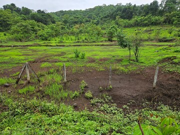 Plot Area in  Land at Mangaon – for Sale