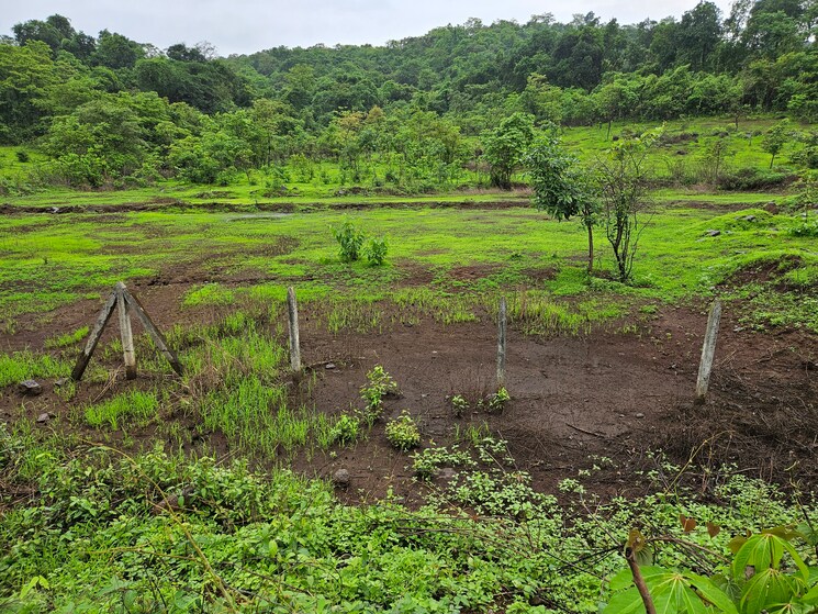 undefined, mangaon Commercial Land 20 Acre In Mangaon Raigad 8784656