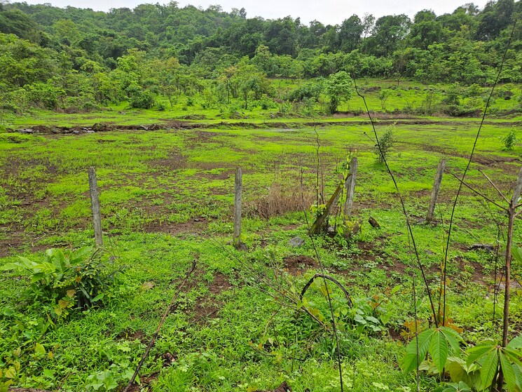 undefined, mangaon Commercial Land 20 Acre In Mangaon Raigad 8784656