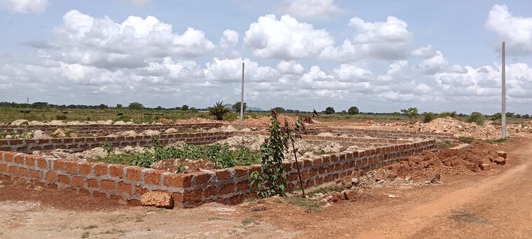 undefined, patrapada  1100 Sq.Yd. Plot In Patrapada Bhubaneswar 8784725