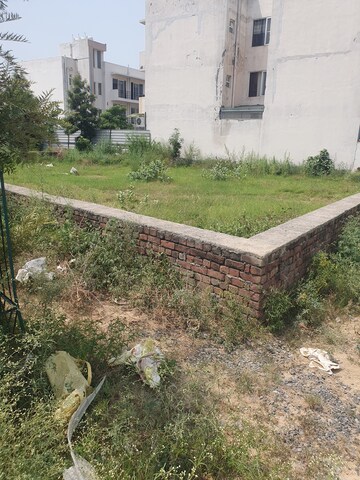 Plot Area in  Plot at Wave City – for Sale