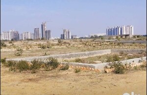 Plot Area in  Plot at Sector 153 – for Sale