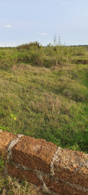  Plot For Sale in Sijua
