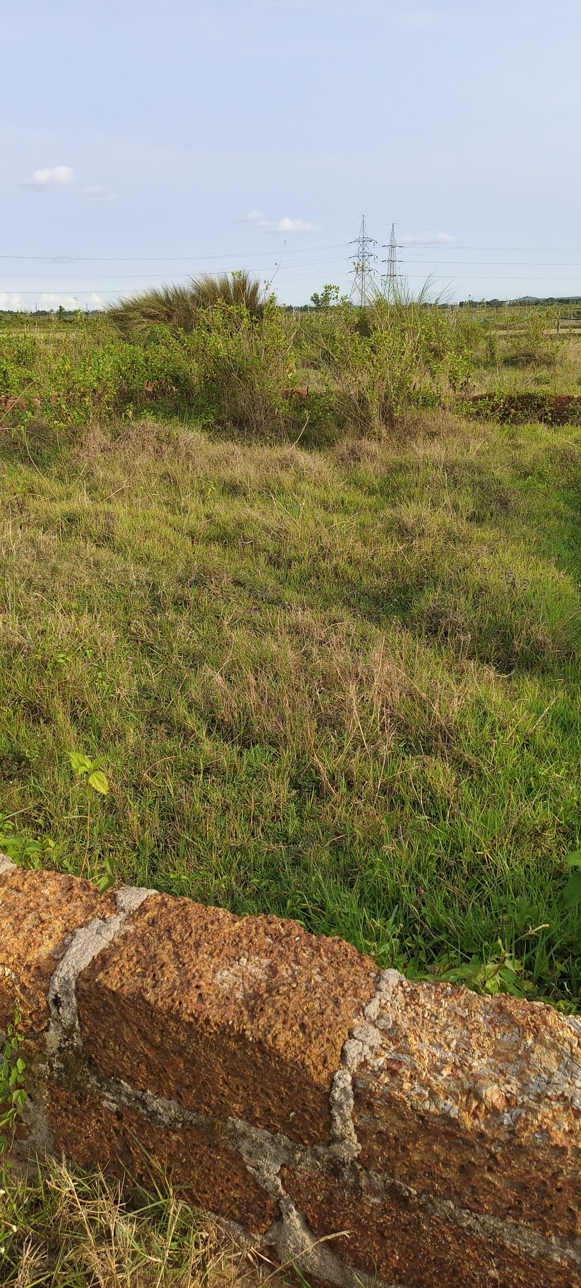 Plot For Sale in Sijua Bhubaneswar 