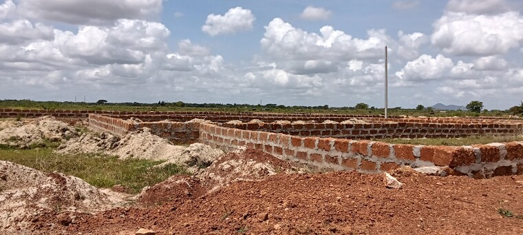 undefined, patrapada  10000 Sq.Yd. Plot In Patrapada Bhubaneswar 8784866