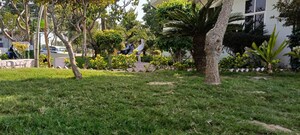  Plot – Garden View at Baghpat Road - for Sale