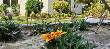  Plot – Garden View at Baghpat Road - for Sale