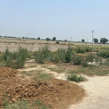 Plot Area in  Plot at TDI City Kundli, Sector 61 – for Sale