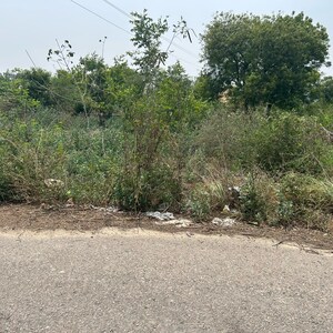 Plot Area in  Plot at TDI City Kundli, Sector 61 – for Sale