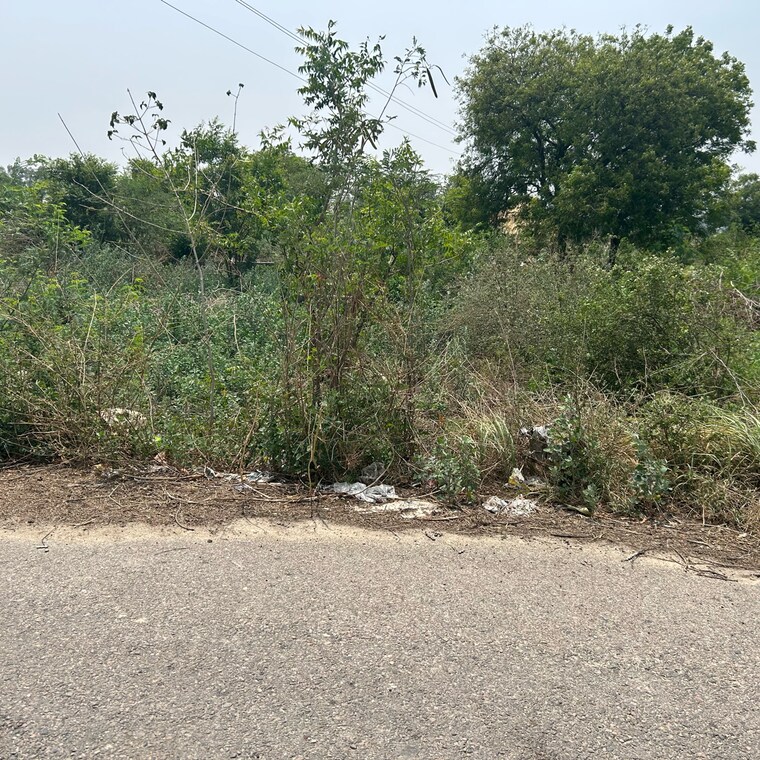 undefined, tdi-city-kundli  250 Sq.Yd. Plot In Sector 61 Sonipat 8784978