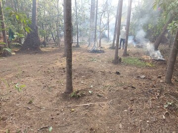  Plot For Sale in Alibag