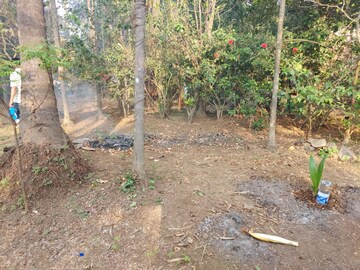 Plot Area in  Plot at Alibag – for Sale