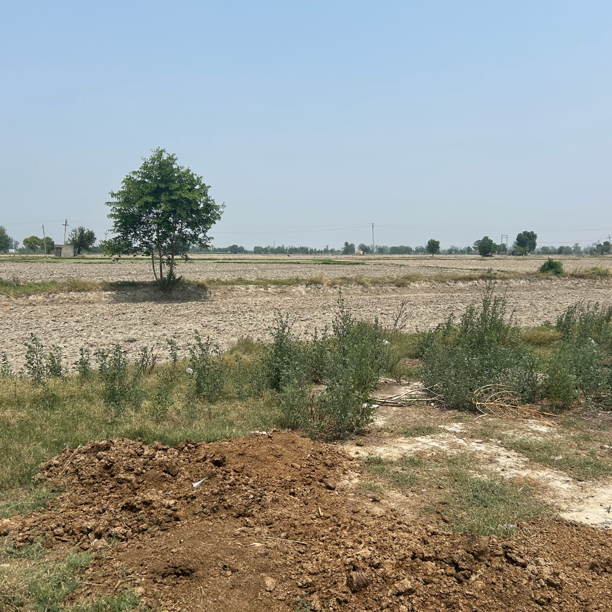 Plot For Sale in TDI City Kundli