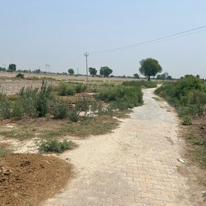 Plot Area in  Plot at TDI City Kundli, Sector 61 – for Sale
