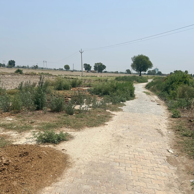 undefined, tdi-city-kundli  500 Sq.Yd. Plot In Sector 61 Sonipat 8784994