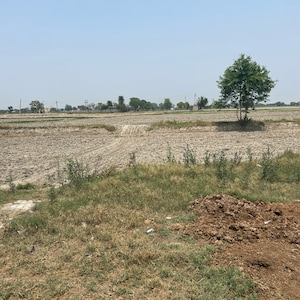 Plot Area in  Plot at TDI City Kundli, Sector 61 – for Sale