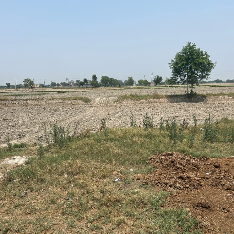 undefined, tdi-city-kundli  500 Sq.Yd. Plot In Sector 61 Sonipat 8784994