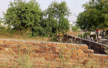 Plot For Sale in Iim Road