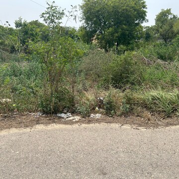 Plot Area in  Plot at Sector 61 – for Sale