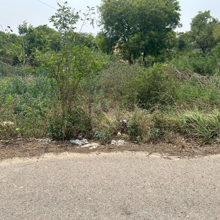 undefined, sector 61  125 Sq.Yd. Plot In Sector 61 Sonipat 8785035