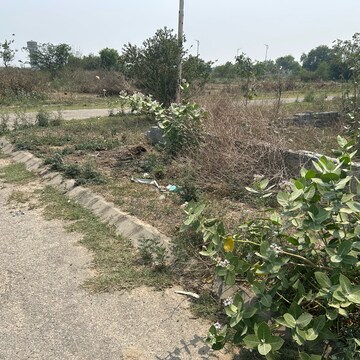  Plot For Sale in Sector 61