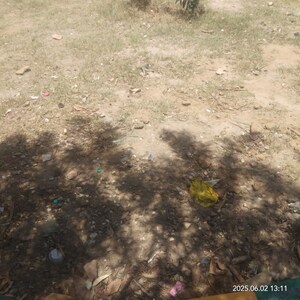  Plot For Sale in Vikas Nagar