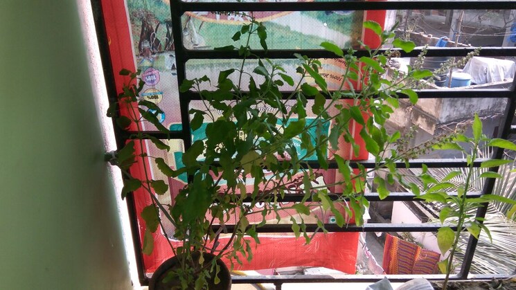 Master Plan, bansdroni 2 Bedroom 840 Sq.Ft. Apartment In Bansdroni Kolkata 8785179