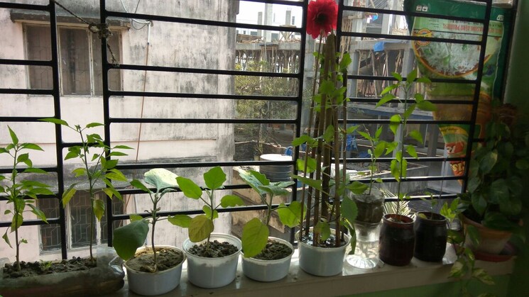 Gym, bansdroni 2 Bedroom 840 Sq.Ft. Apartment In Bansdroni Kolkata 8785179