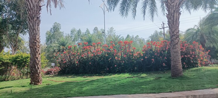 Garden, sr-sree-city  252 Sq.Yd. Plot In Agapally Hyderabad 8785490