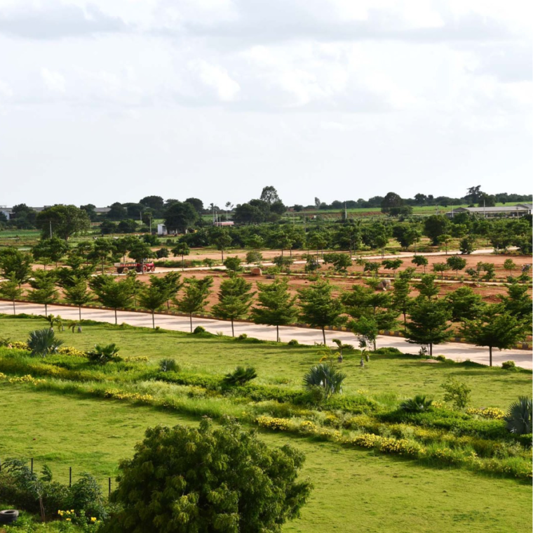 Garden, fortune-butterfly-city  222 Sq.Yd. Plot In Kadthal Hyderabad 8785571