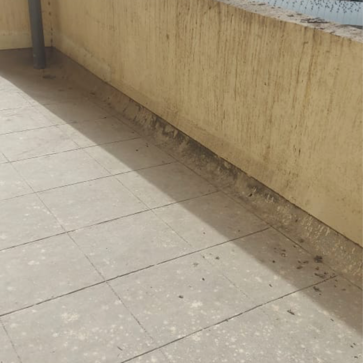 Balcony, prarthana-chs-prabhadevi 3 Bedroom 1100 Sq.Ft. Apartment In Agar Bazar Mumbai 8785589