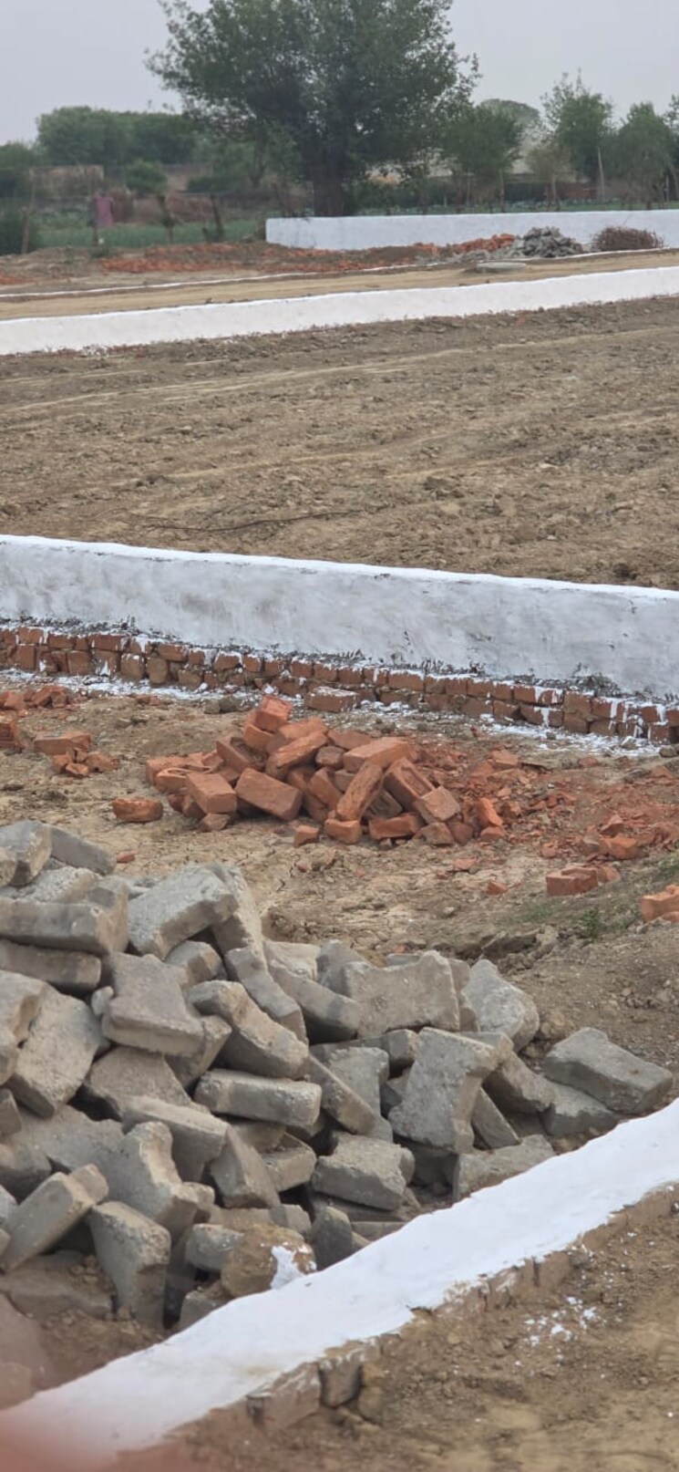 undefined, vijay nagar  100 Sq.Yd. Plot In Vijay Nagar Ghaziabad 8785604