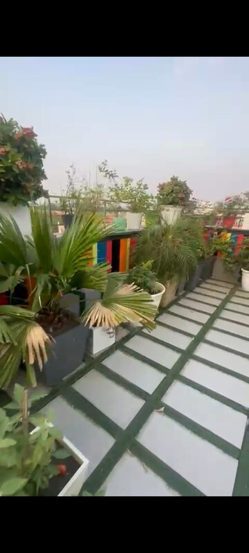 Terrace in 3 BHK Builder Floor at Surajmal Vihar – for Rent