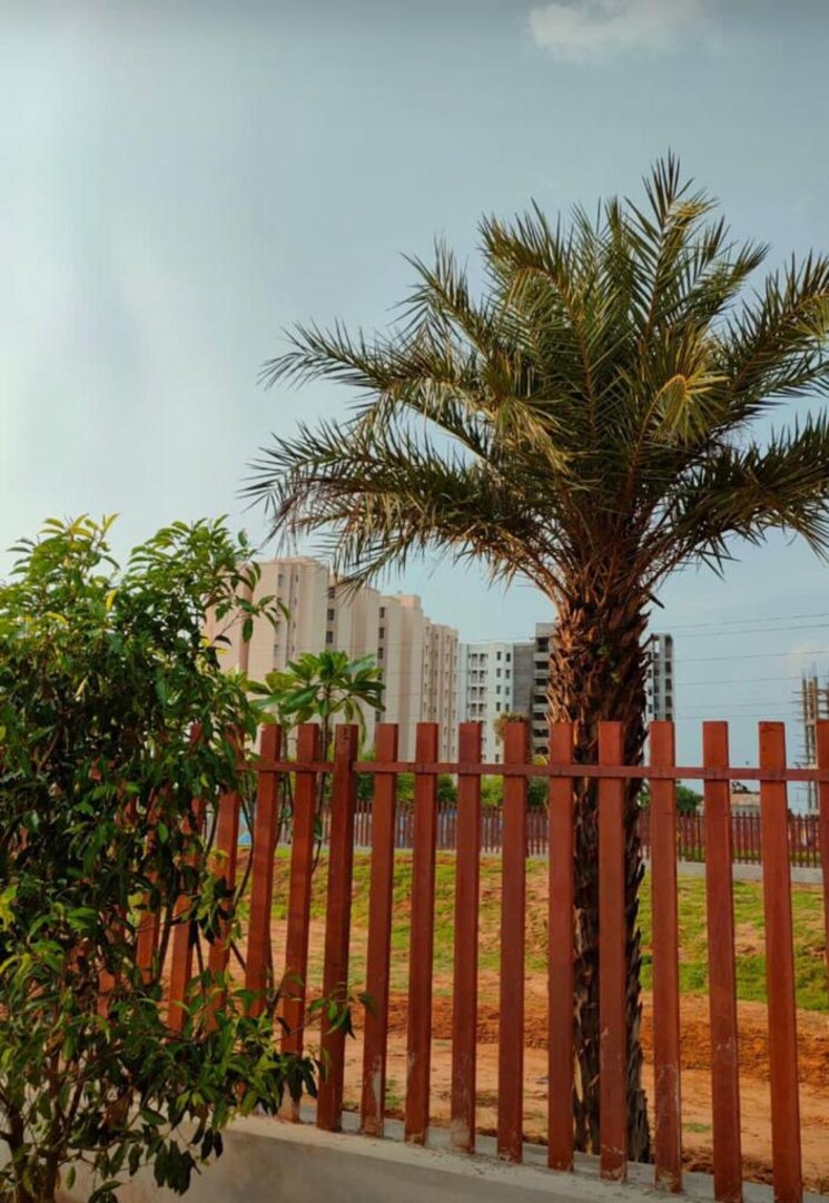 Exterior View, ajmer road  138 Sq.Yd. Plot In Ajmer Road Jaipur 8785967